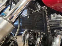 image000001.webp