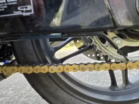 painted_arrowshafts_scolr_line_wlube_small.webp