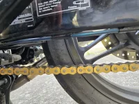 painted_arsh_scolr_line_wlube_forward_small.webp