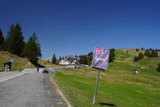 forza7501 - Kopie.webp