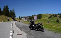 forza7502 - Kopie.webp