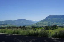 forza75016 - Kopie.webp
