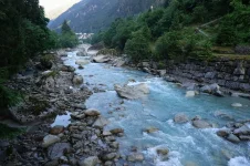 usapass1.webp