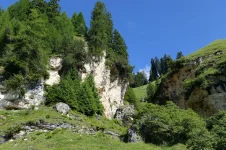 usapass123456789012.webp