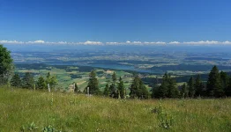 doubs4usa.webp