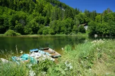doubs5usa.webp