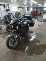 bike trip 3.webp
