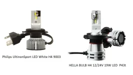 bulbs.webp