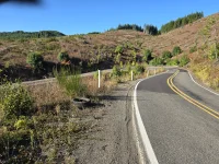 timber_hairpin_small.webp