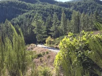 timber_tight_curves_elevation_small.webp