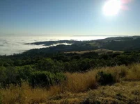 View from Skyline Blvd.webp