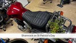 St Patricks Day.webp