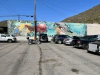 e9372dd0-ed0d-4f18-b8a9-17567c003d31.webp