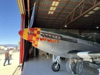 mustang.webp