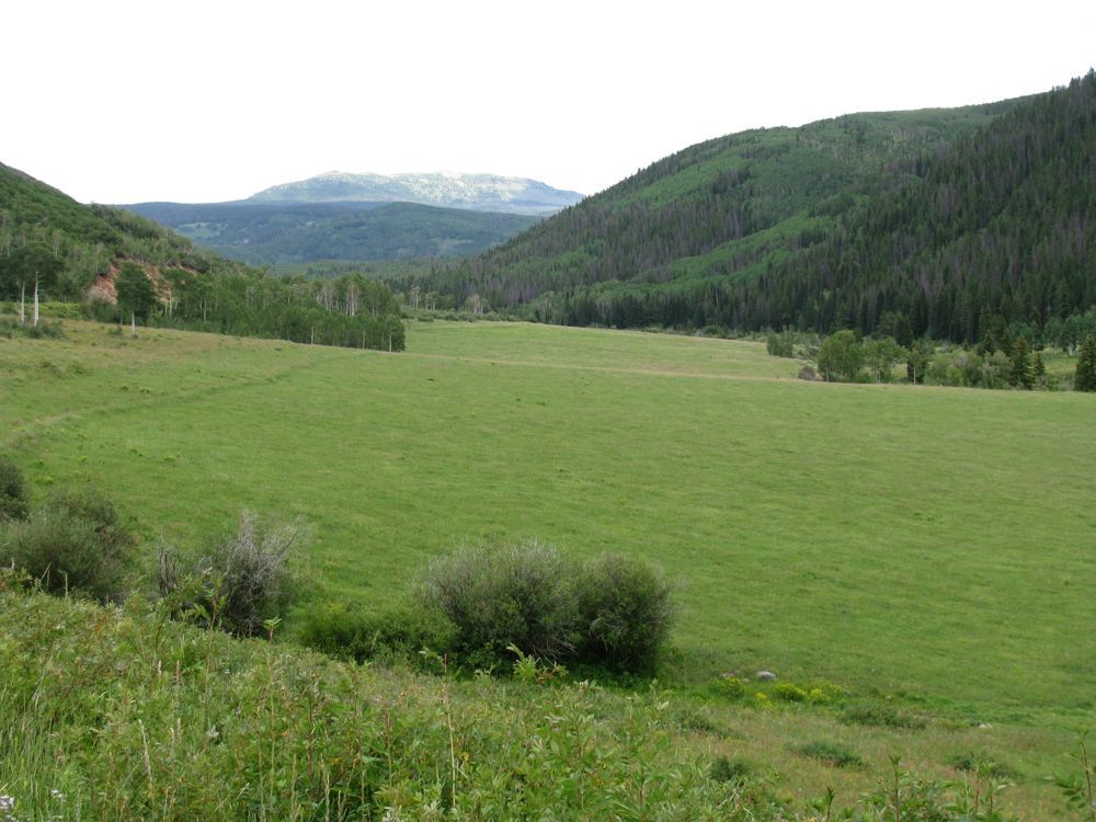 [Image: 1698d82b0a7fceb25b5a3984a476b8c6.jpg]
