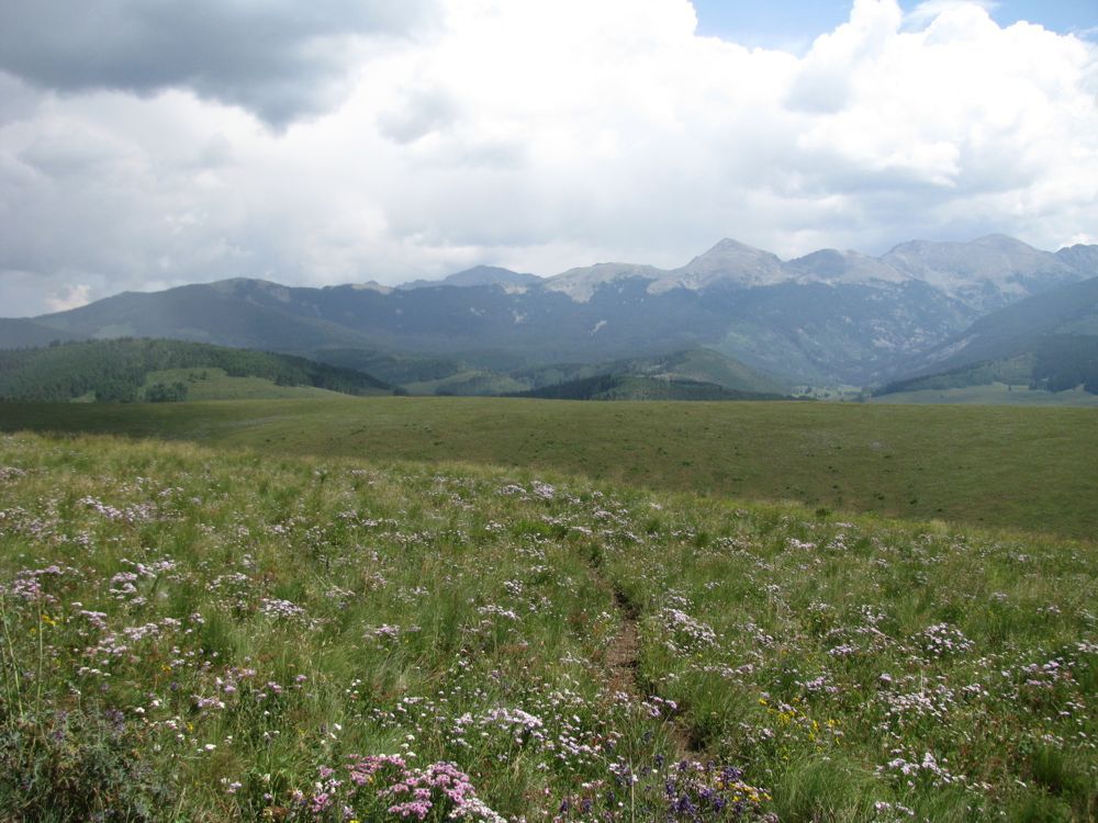 [Image: 7ebd0e0d6fa6683ade24d92395b9db57.jpg]