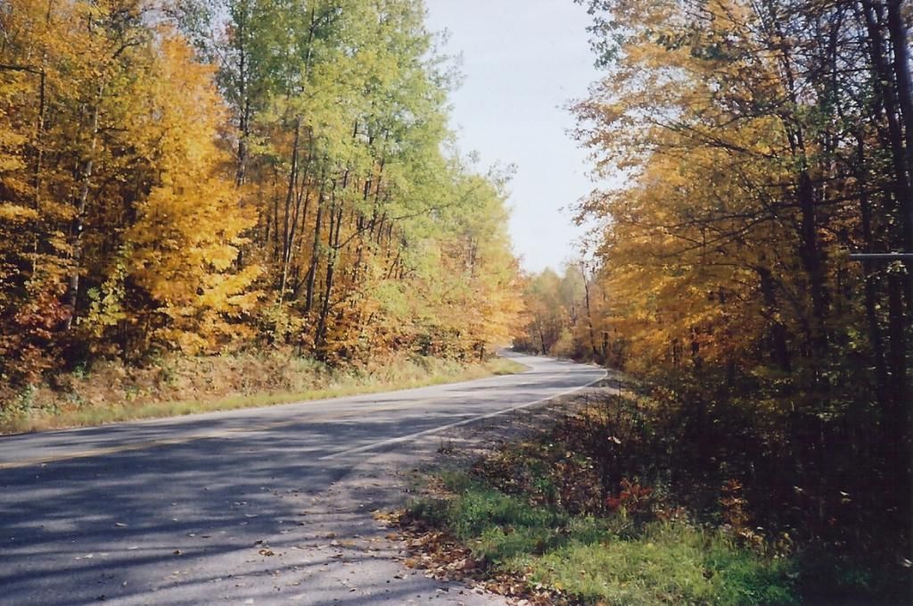 [Image: 121c62ca83e2dac99de0ae0f9b7ae1c6.jpg]