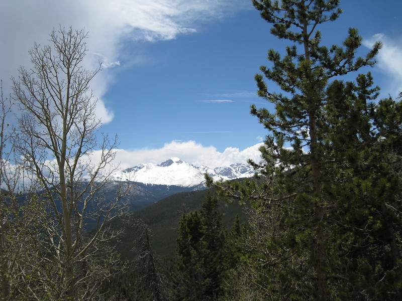 [Image: 529ffb01a8a7e01c495e206290a720b4.jpg]