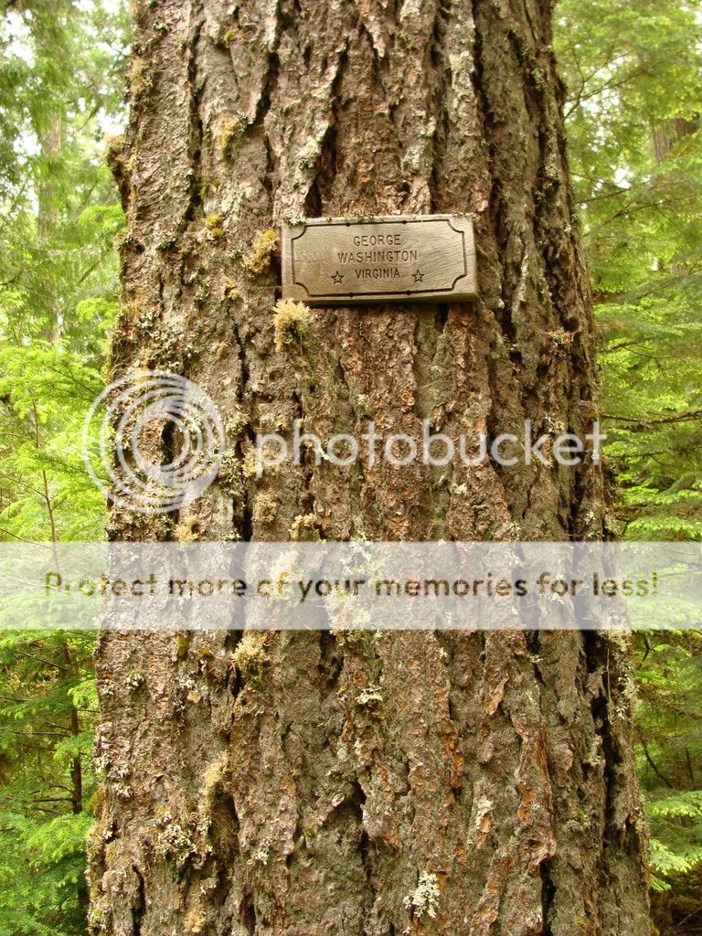[Image: db91c0f623235788795d012ccd63caac.jpg]