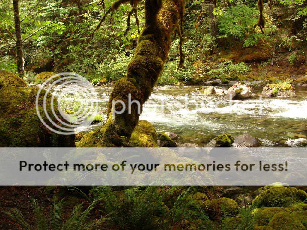 [Image: eadb7a8982cb8496564a03cb163938b6.jpg]