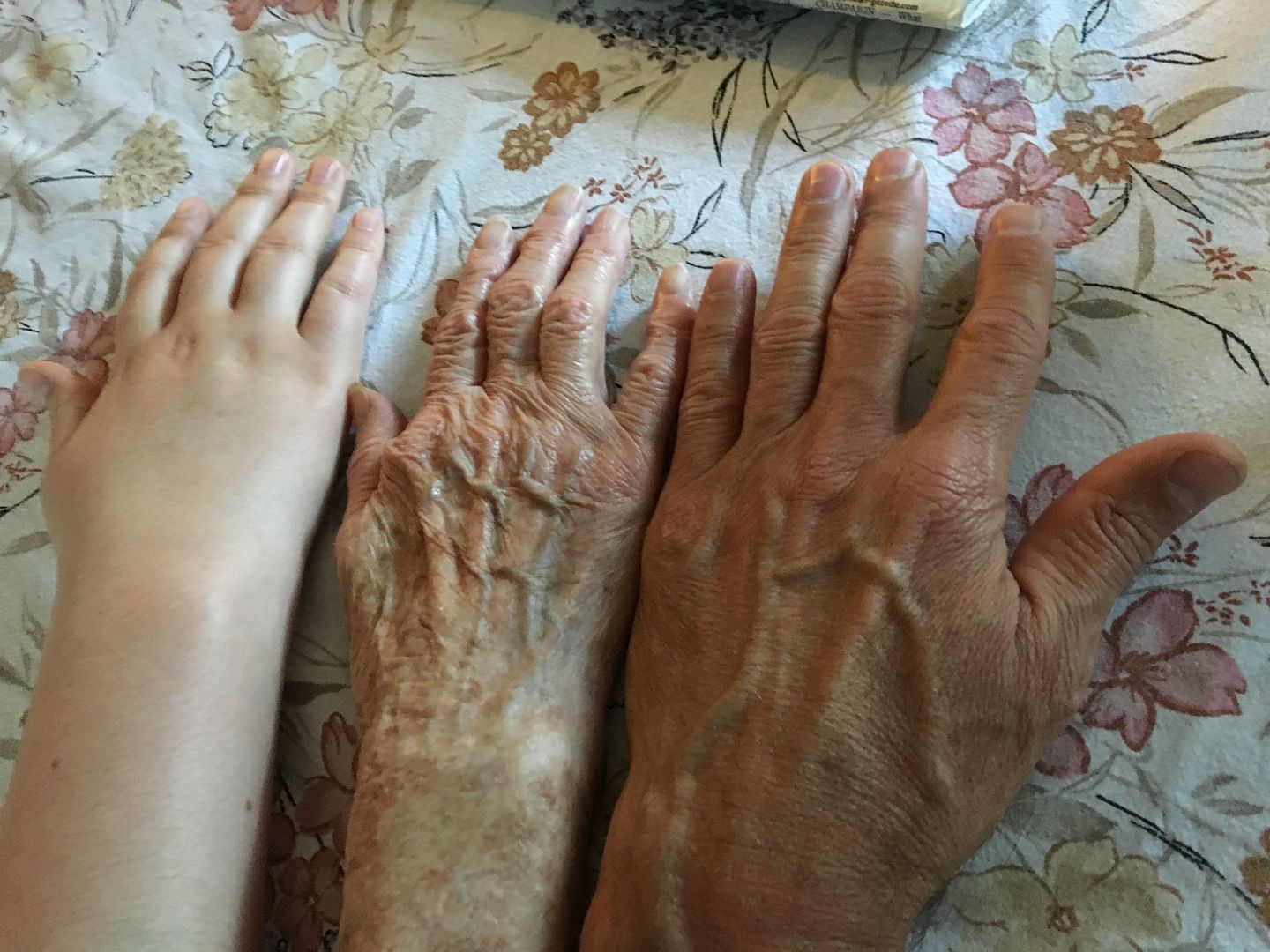 [Image: 742c89fc570a971e014733e0f83ca6a4.jpg]
