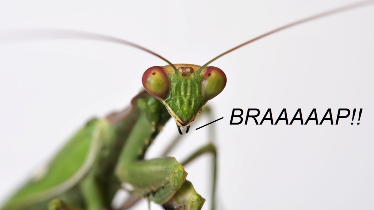 [Image: cb616229c935620856bee6aa77a68635.jpg]