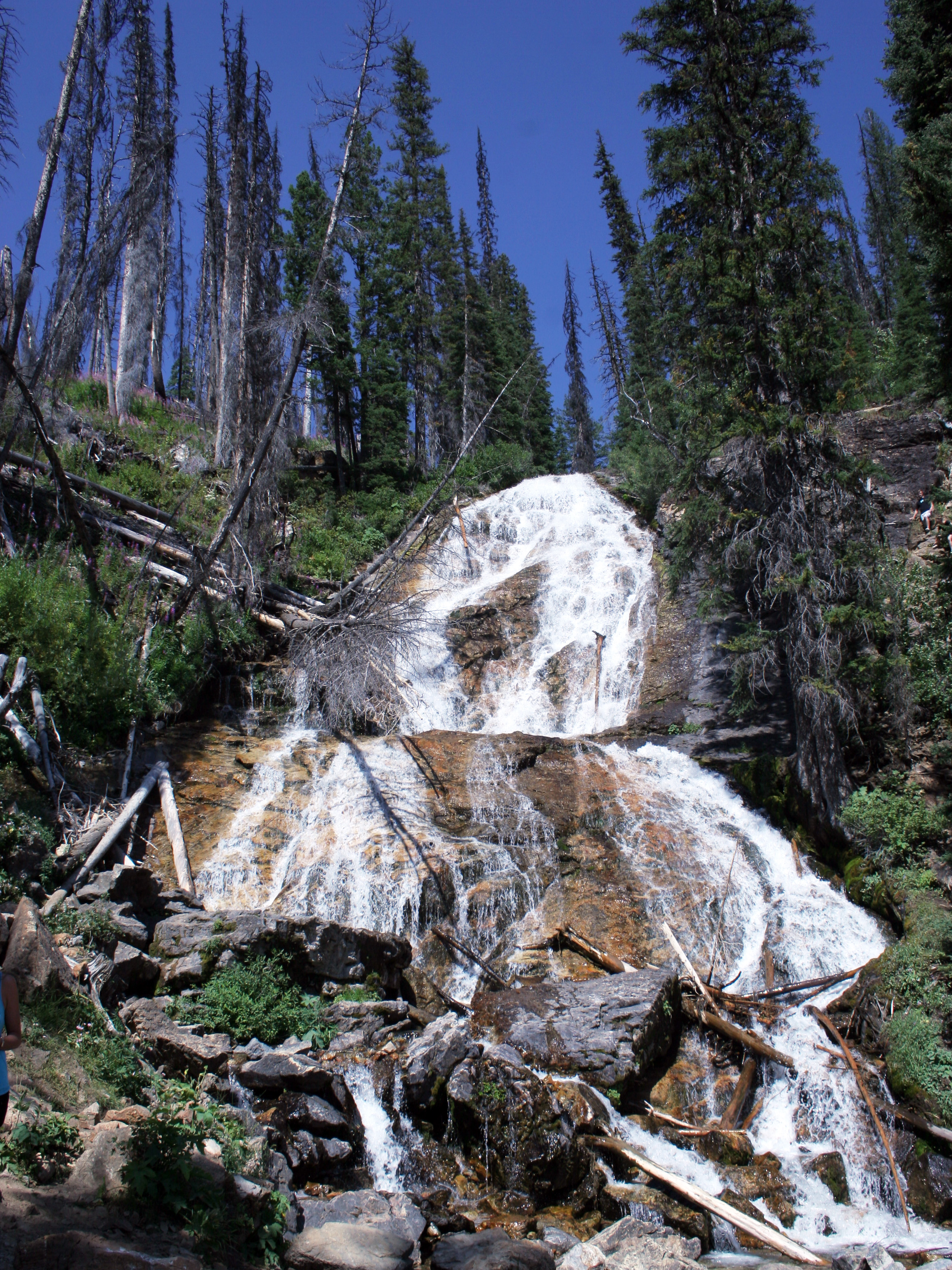 [Image: 3d1e085f591df78f81016370dda95827.jpg]