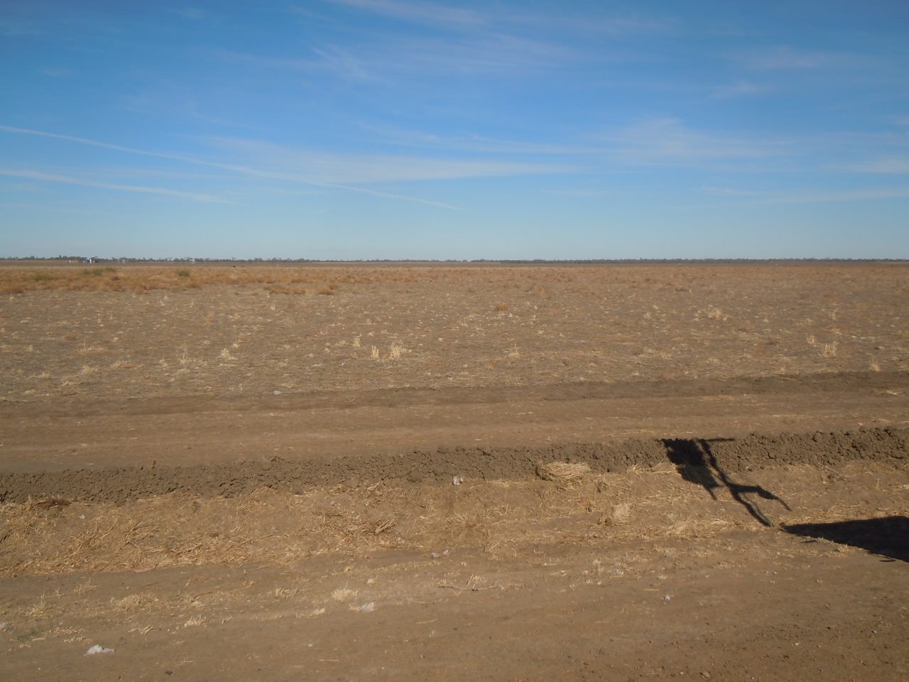 [Image: ccd9c161a61c41c5fabefe486bf518a3.jpg]