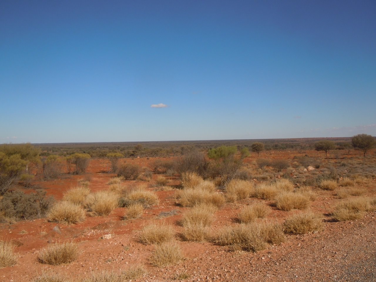 [Image: 2ba7977c93ecec926183e77e3a887e6e.jpg]