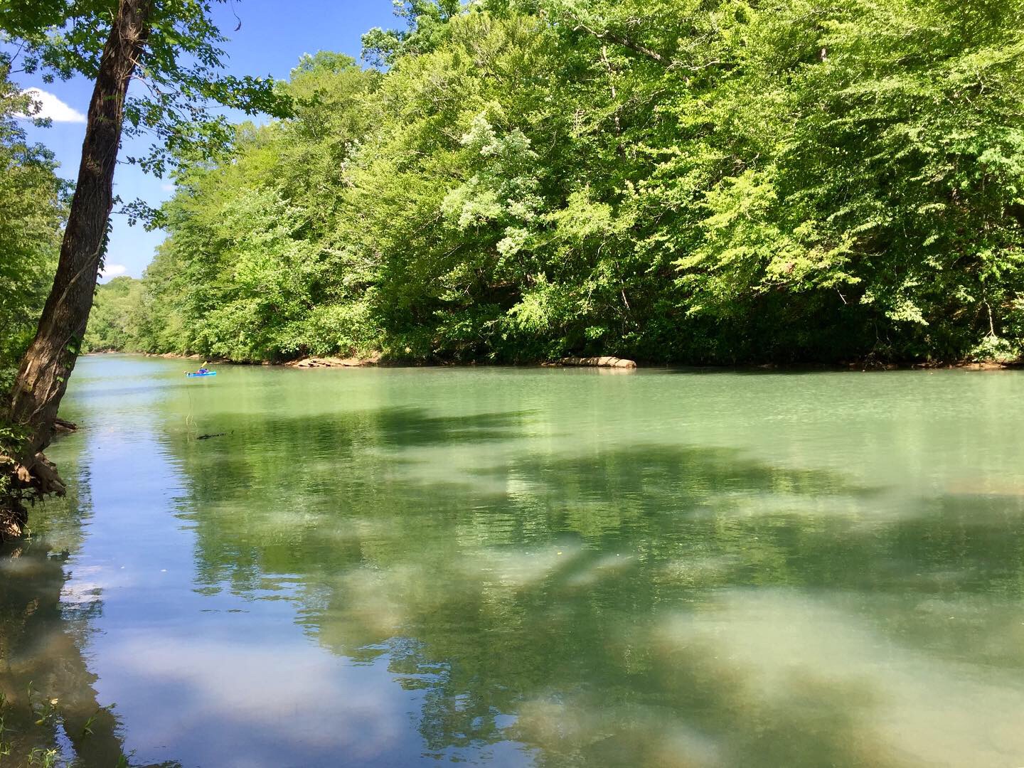 [Image: 577a924446077e44d49fc7408f65d4f0.jpg]