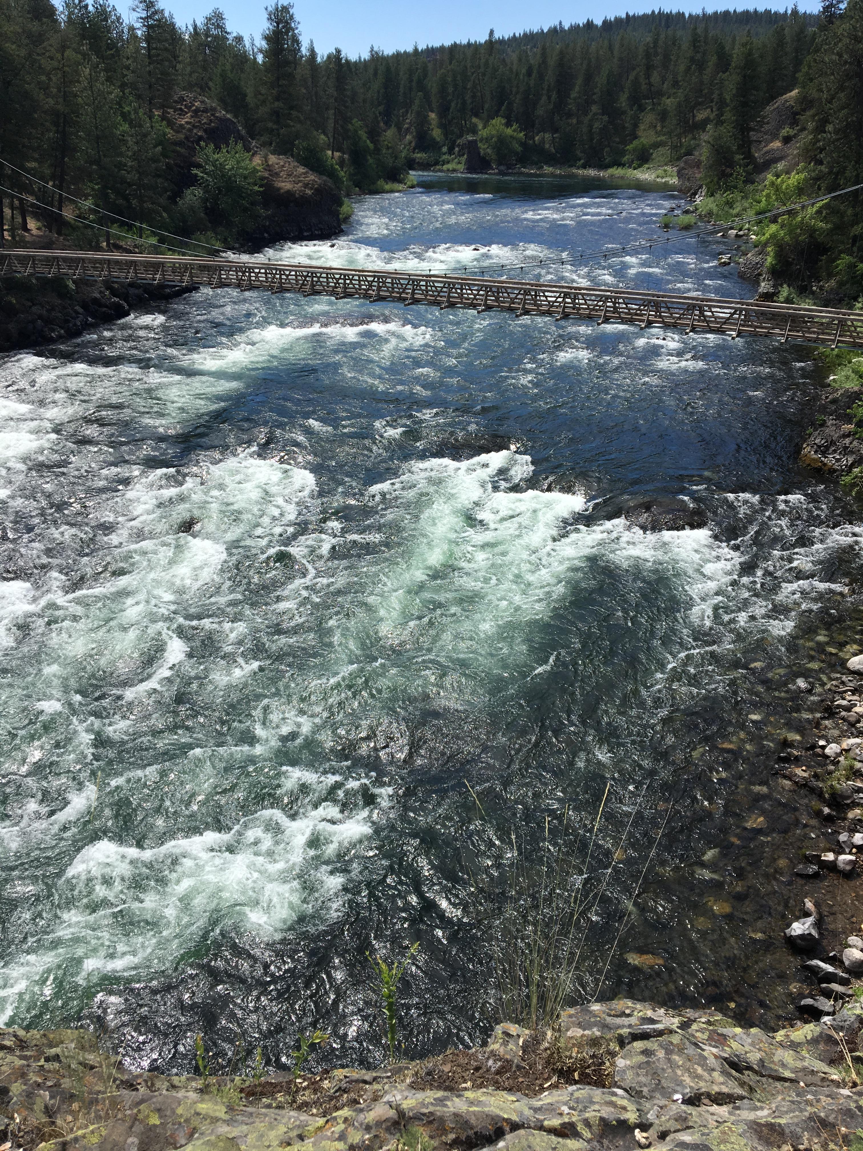 [Image: 135764743cf18c3b5cc92c125f6edee4.jpg]