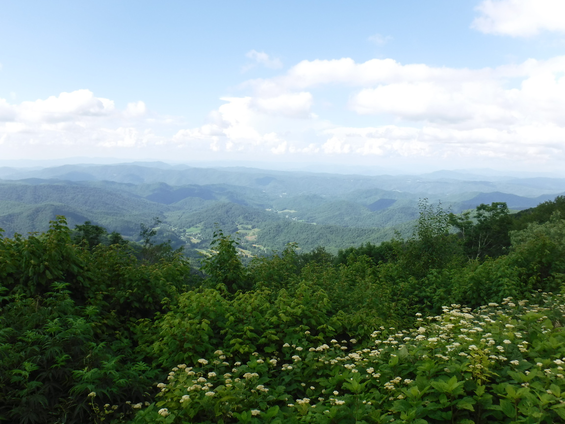 [Image: 83b2736e0e85b1f75348b8459687b731.jpg]