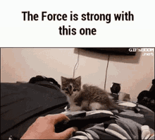 [Image: db3e9c5006cdb62d2968d5d97453839f.gif]
