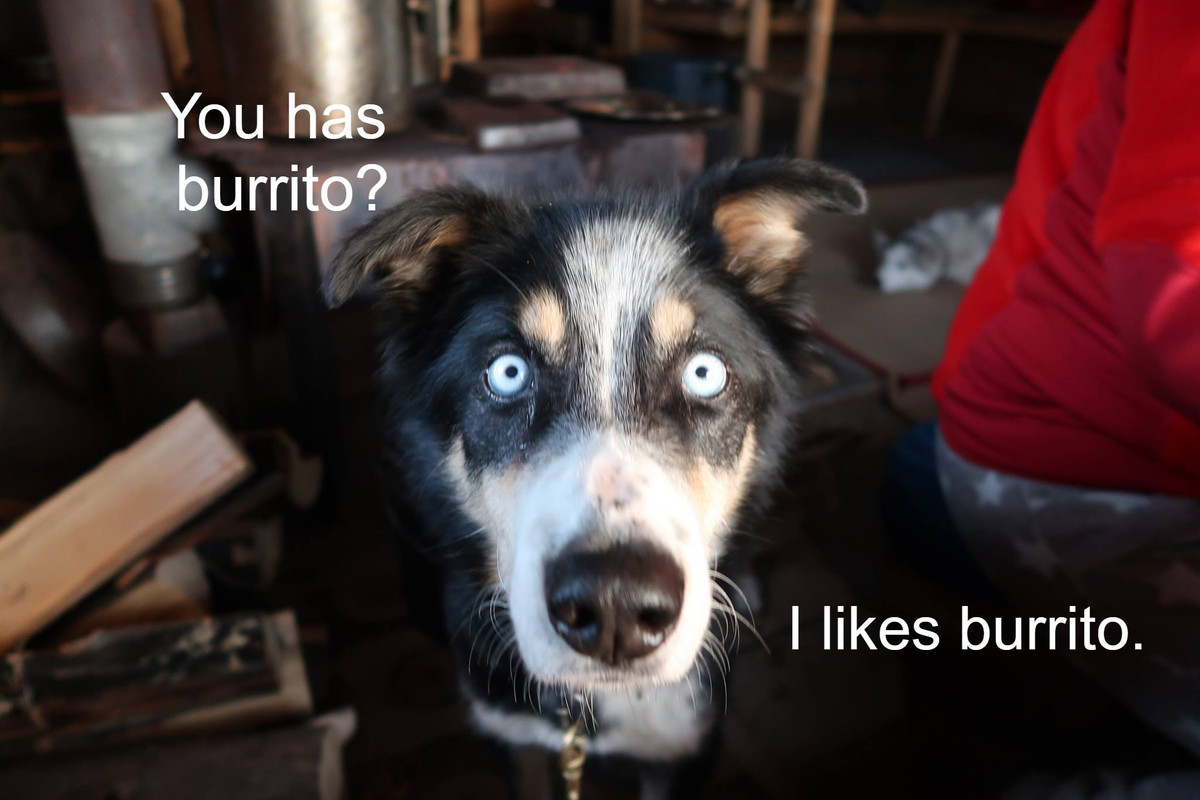 [Image: 2218495196e50188ff3b815544b3b62d.jpg]