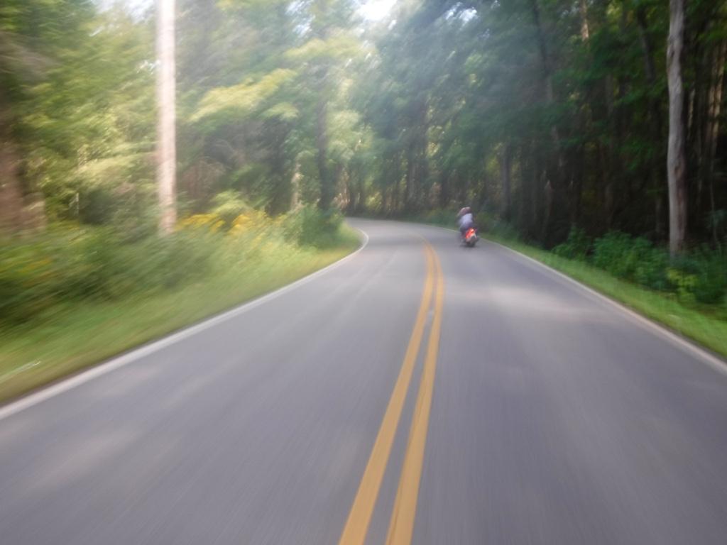 [Image: c95e7896e94c465f4f9d970ec970c1bb.jpg]