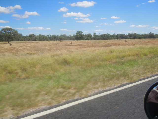 [Image: 8da3c96cdf088236ef6c1857e736aedc.jpg]