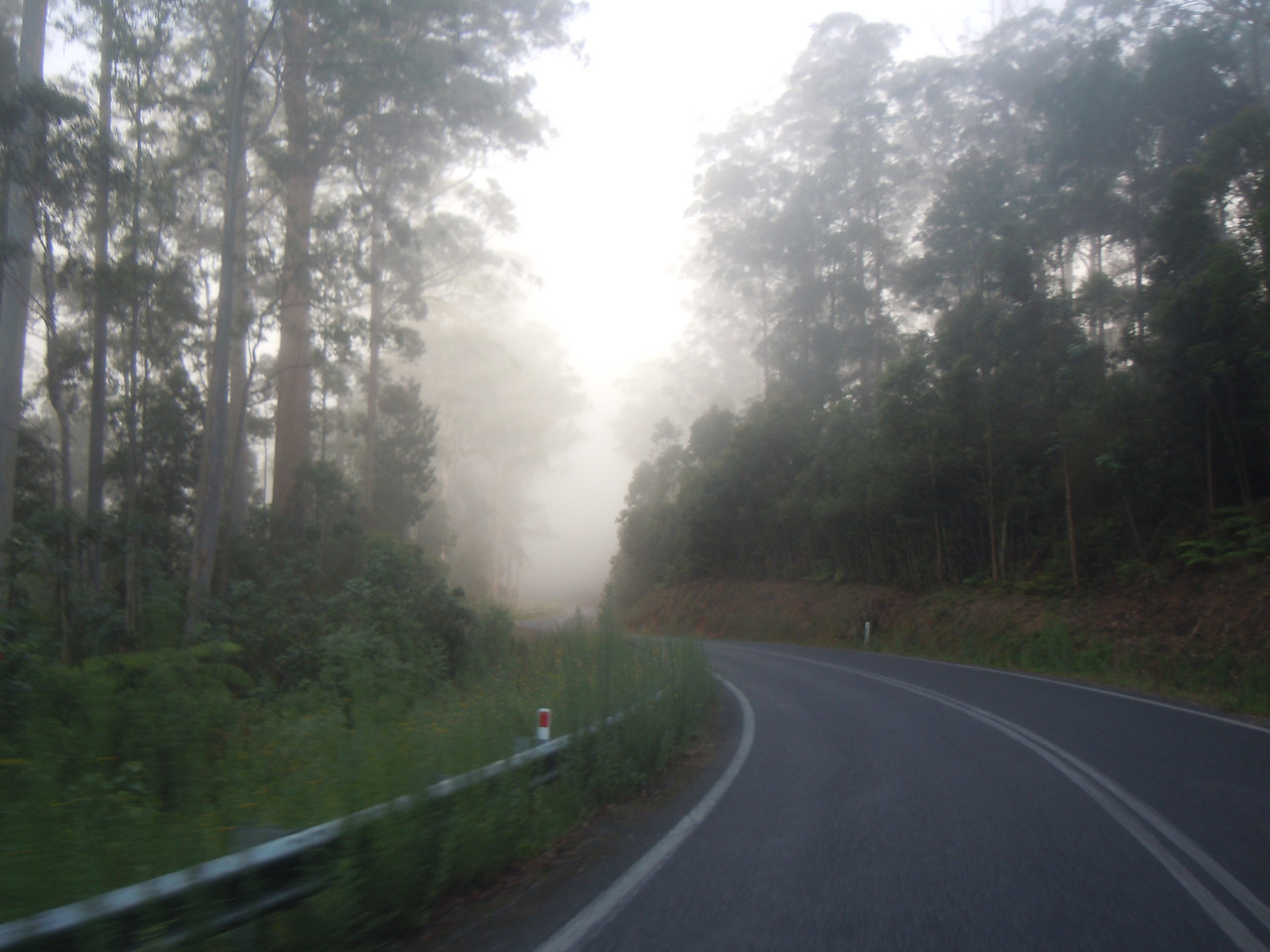 DSCN4208.jpg