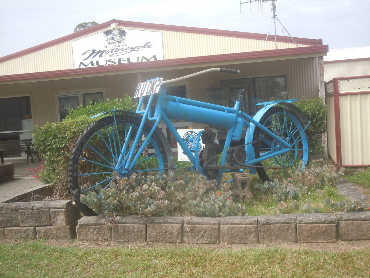 DSCN4200.jpg