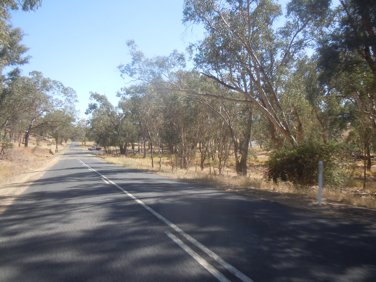 DSCN3944.jpg