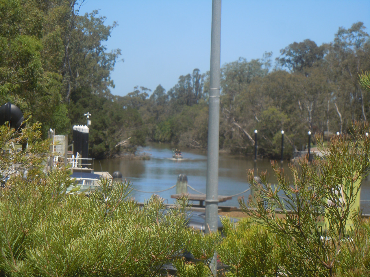 DSCN3984.jpg