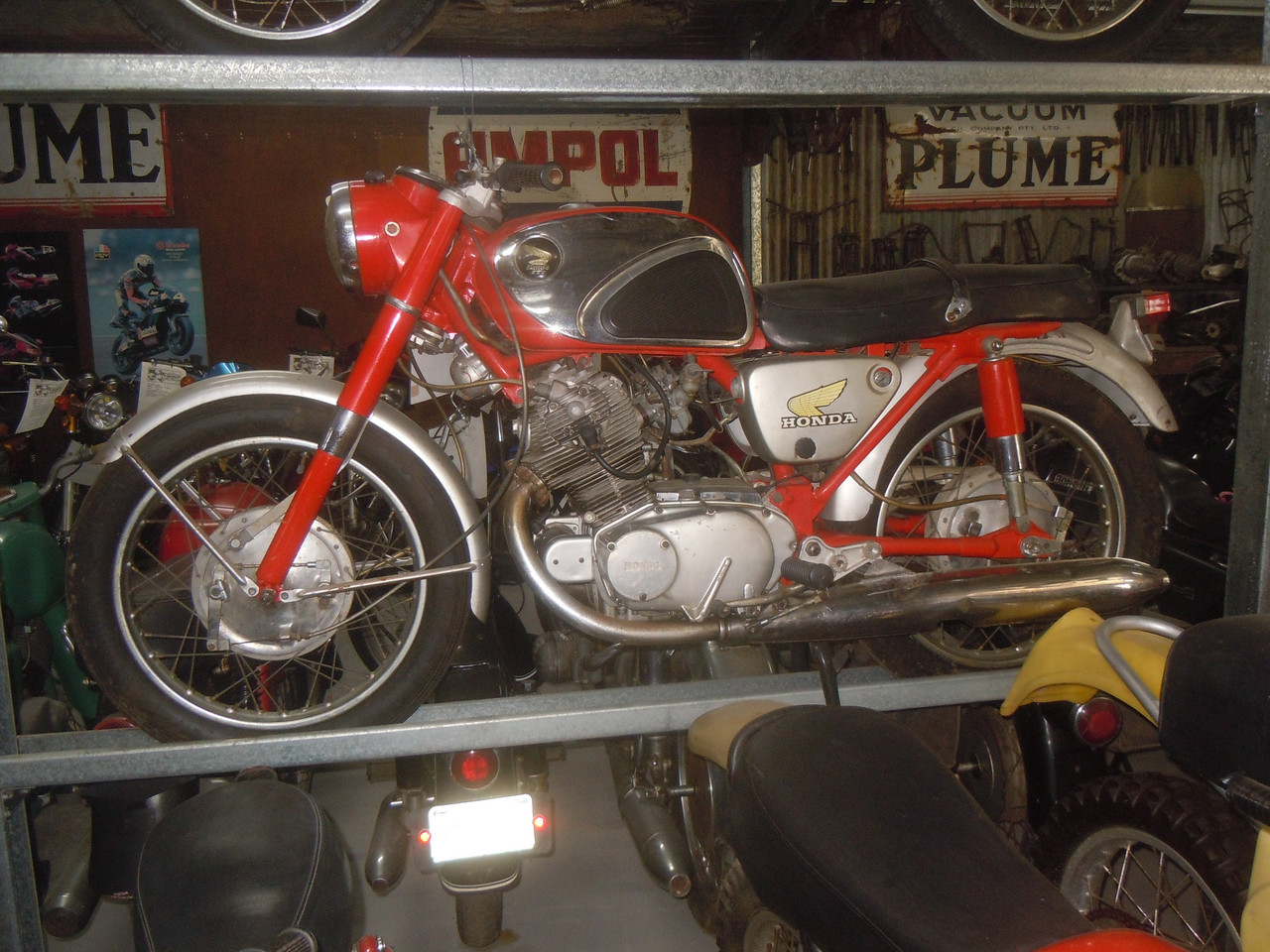 DSCN4147.jpg