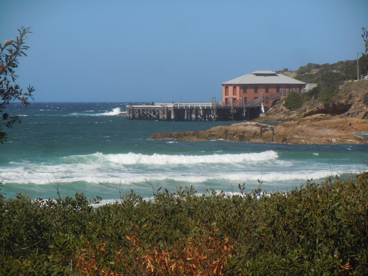 DSCN4043.jpg