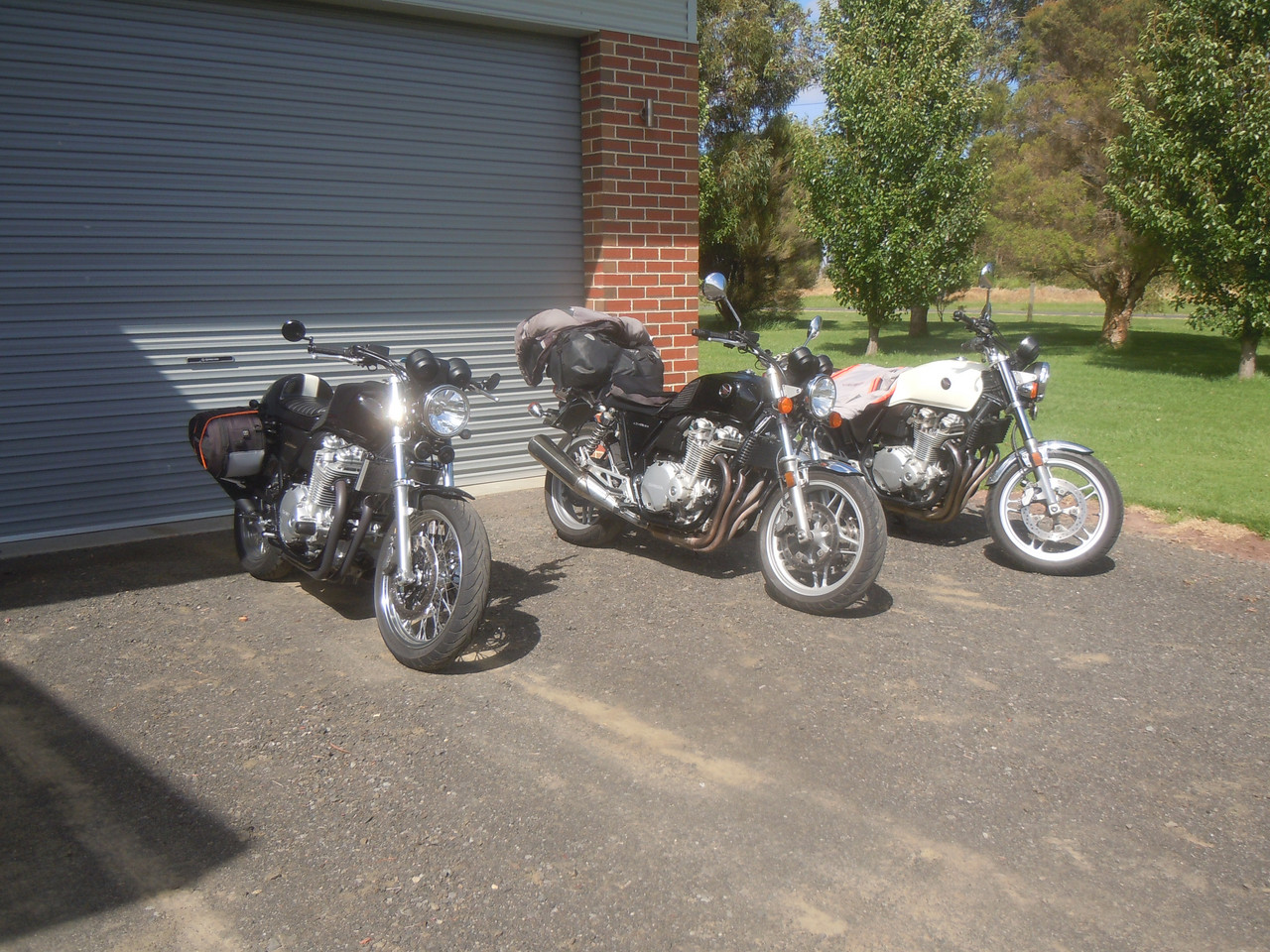 DSCN3981.jpg