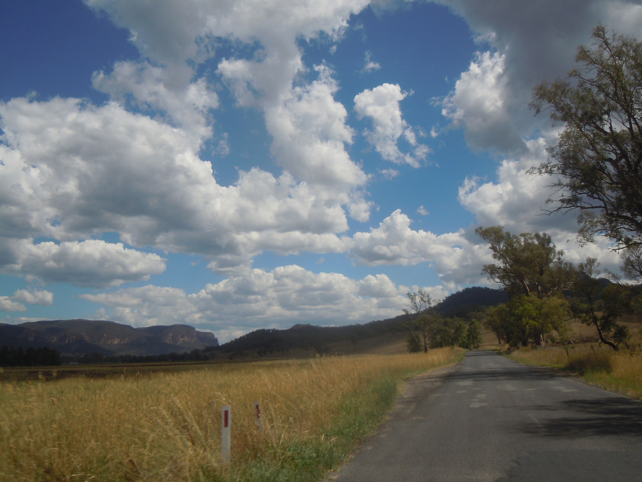 DSCN3919.jpg