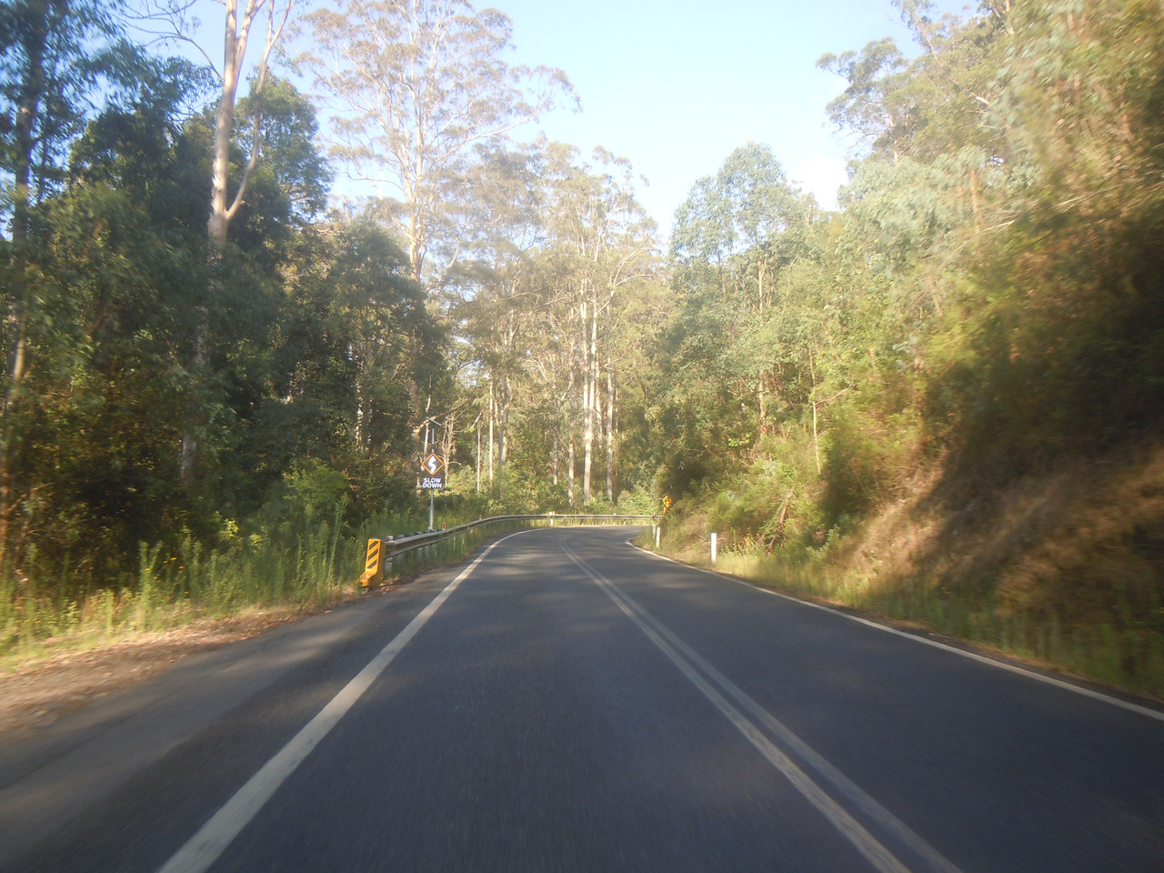 DSCN4210.jpg