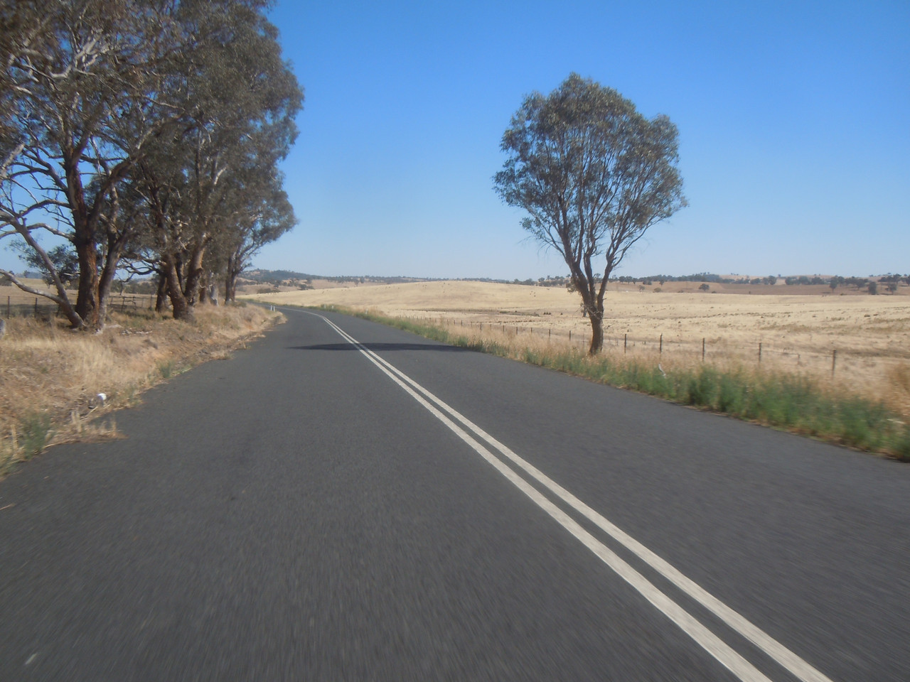 DSCN3940.jpg