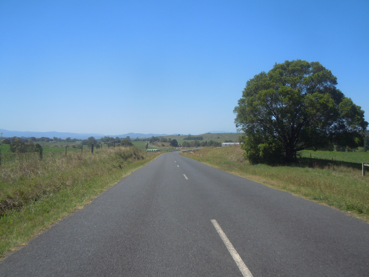DSCN4040.jpg