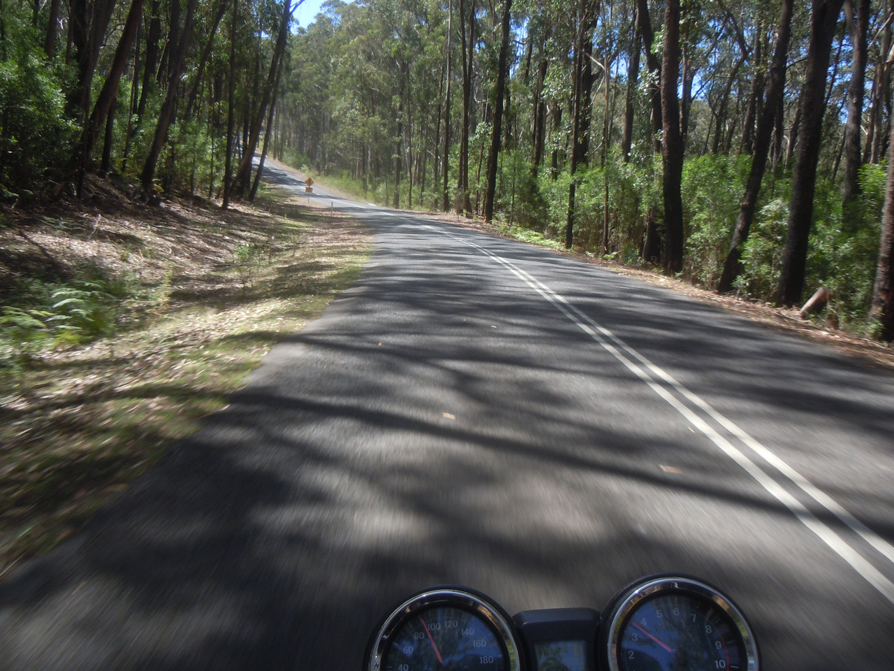 DSCN4036.jpg