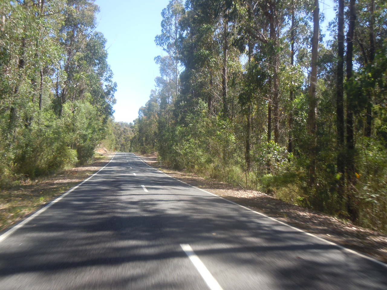 DSCN4005.jpg