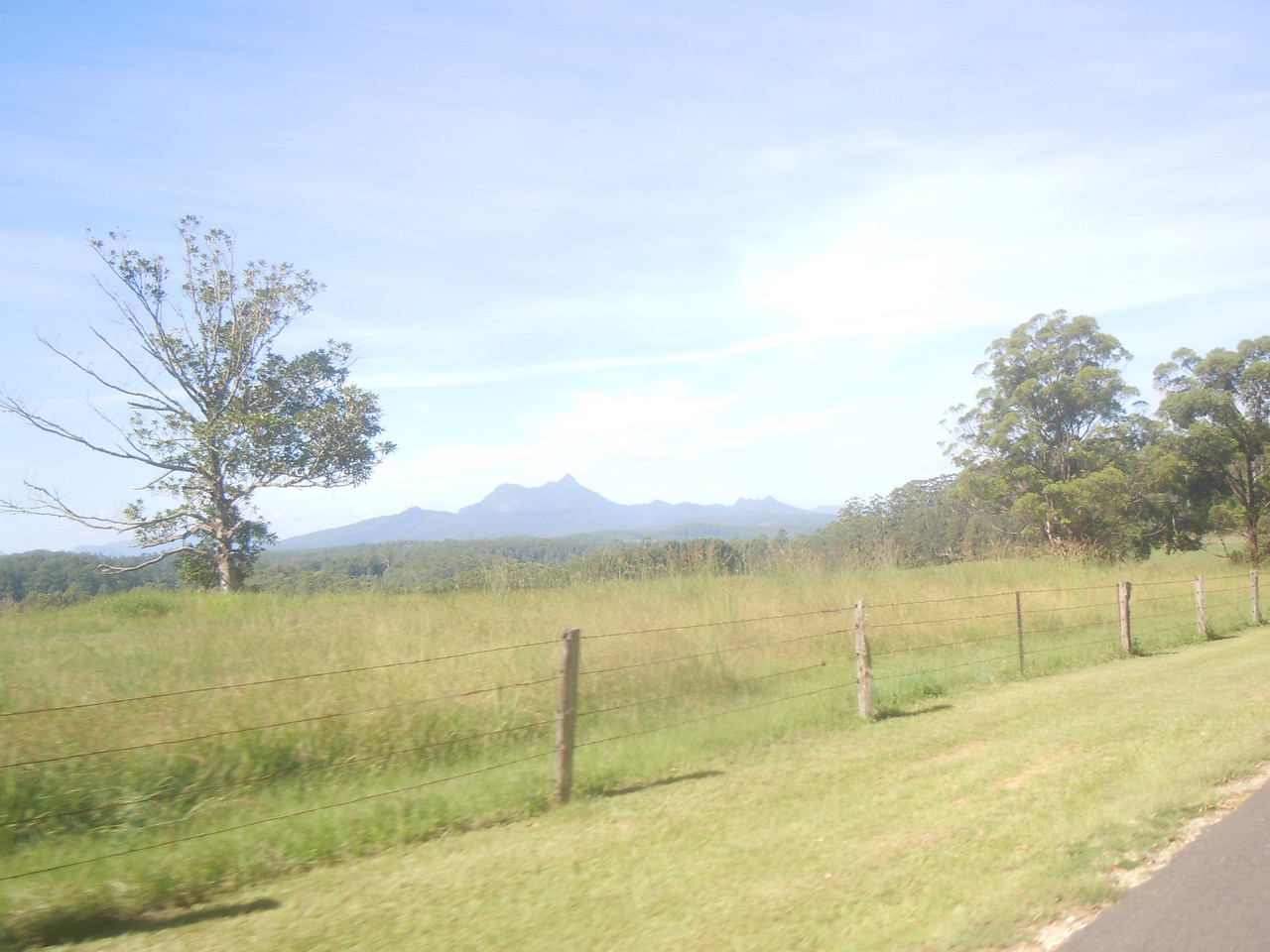 DSCN4223.jpg